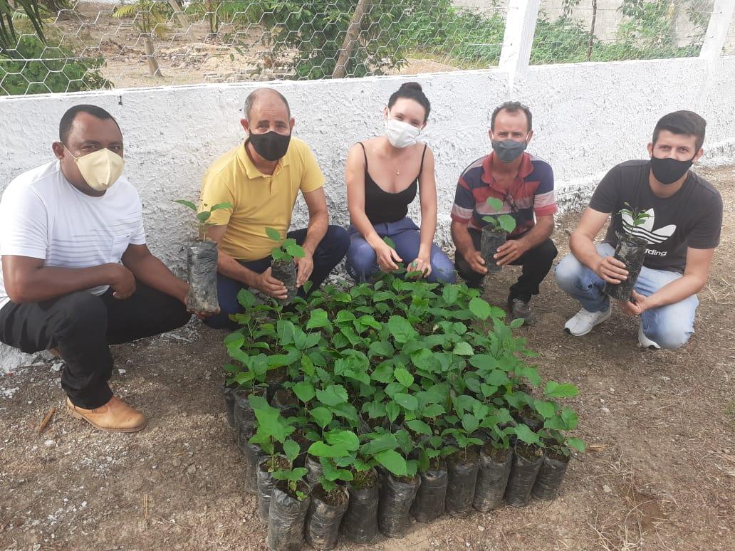 Viveiro Municipal de Couto Magalhães realiza parceria com a cidade de Goianorte-TO