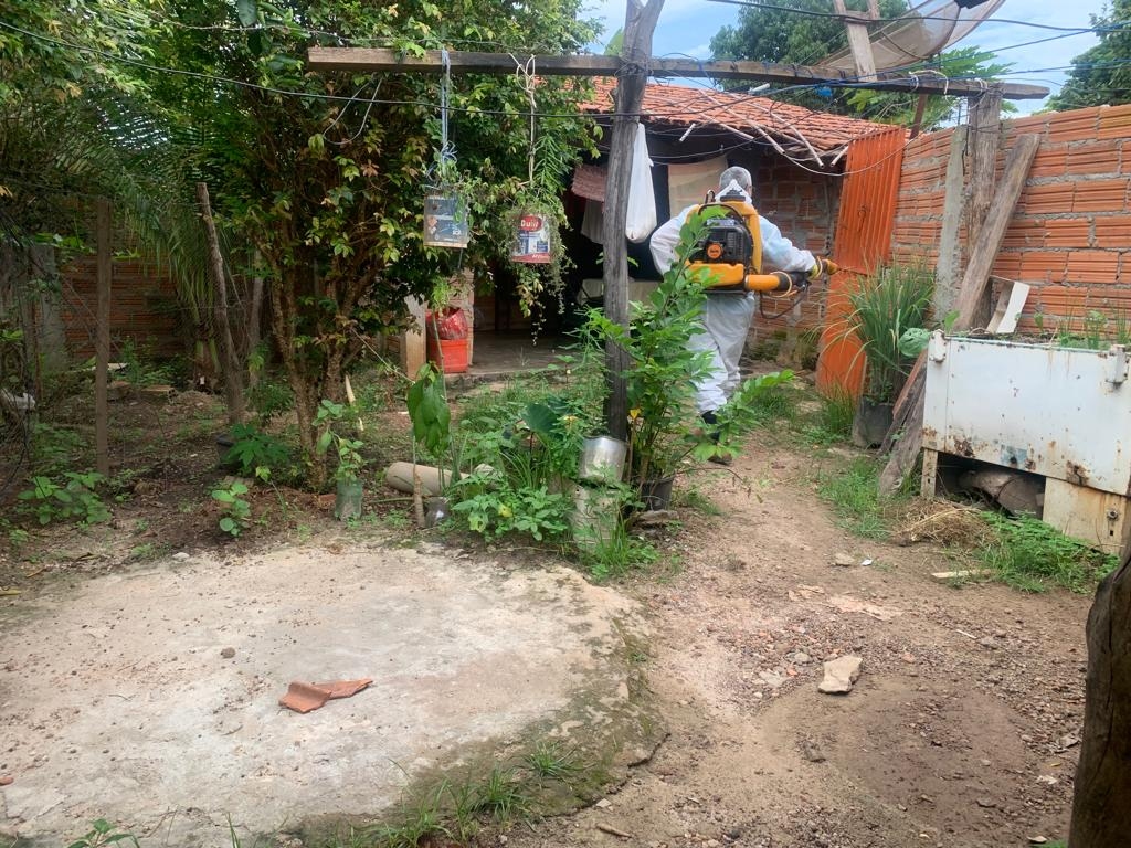 Equipe de endemias realiza dedetização em Couto Magalhães para combater o mosquito da dengue
