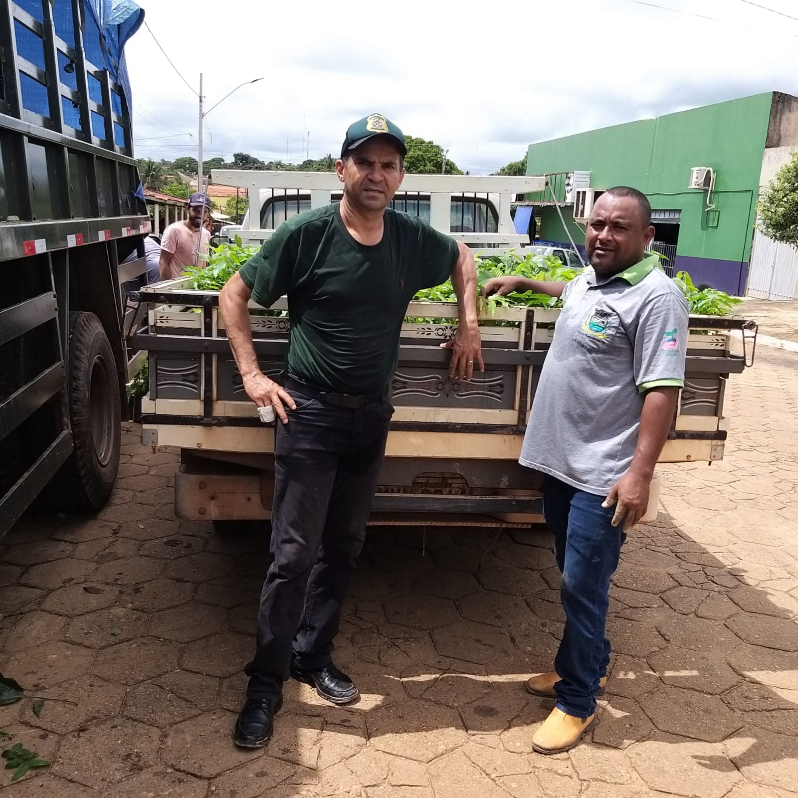 Pecuarista de Arapoema realiza doações de 700 mudas de várias espécies para Couto Magalhães
