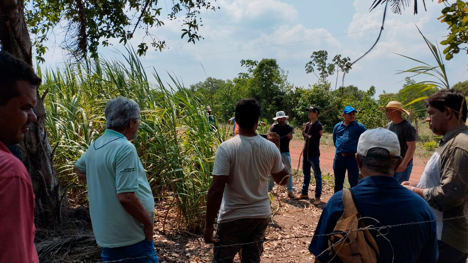 MINICURSO CAPACITA PRODUTORES EM CULTIVO E ENSILAGEM DE CAPIM BRS CAPIAÇU