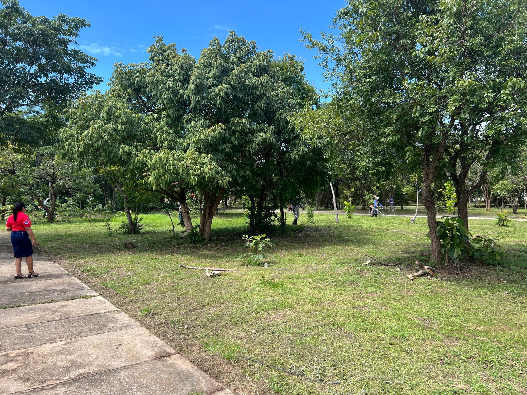 Secretaria de Meio Ambiente e Saneamento reforça ação de limpeza em Couto Magalhães 
