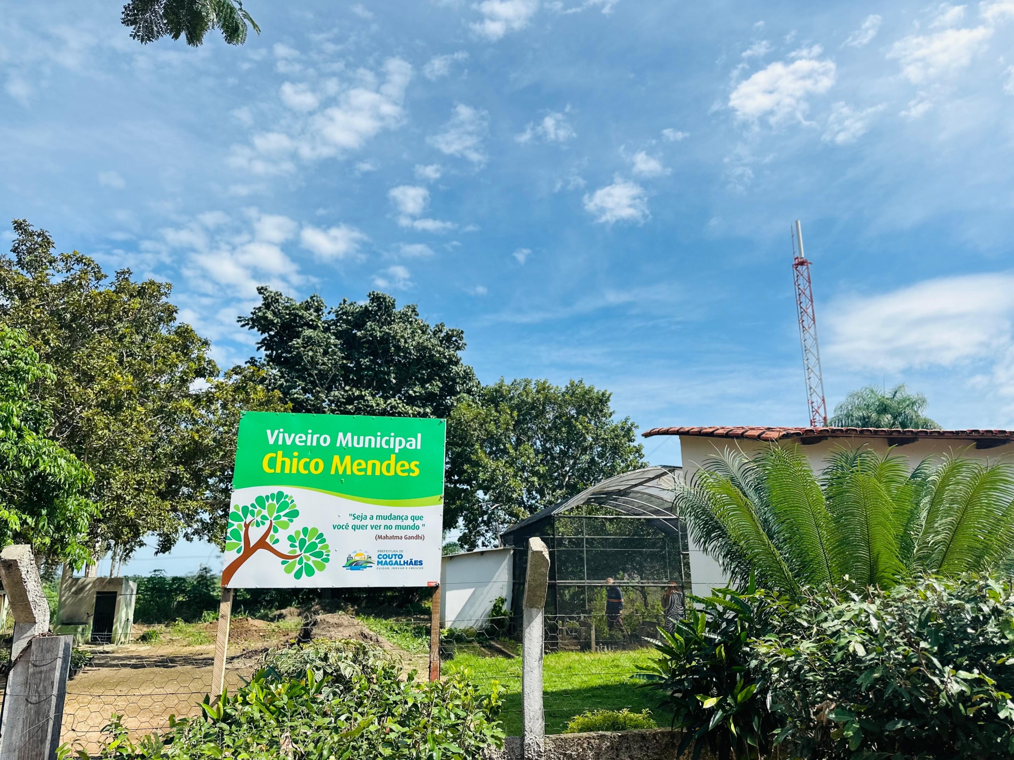 Equipe do Viveiro Chico Mendes realiza ação de doação de mudas e conscientização 
