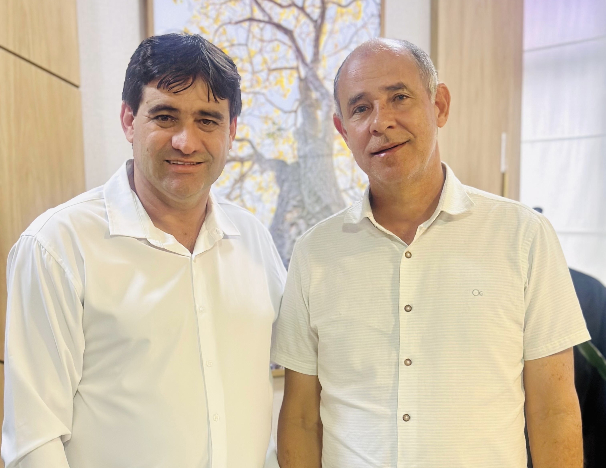 Prefeito Júlio César reforça solicitação de demandas junto ao secretário estadual de Educação